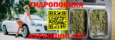гашик Гатчина