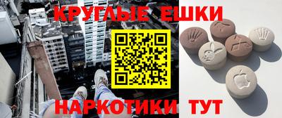 гашик Гатчина