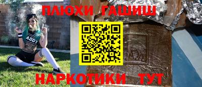 дживик Гай