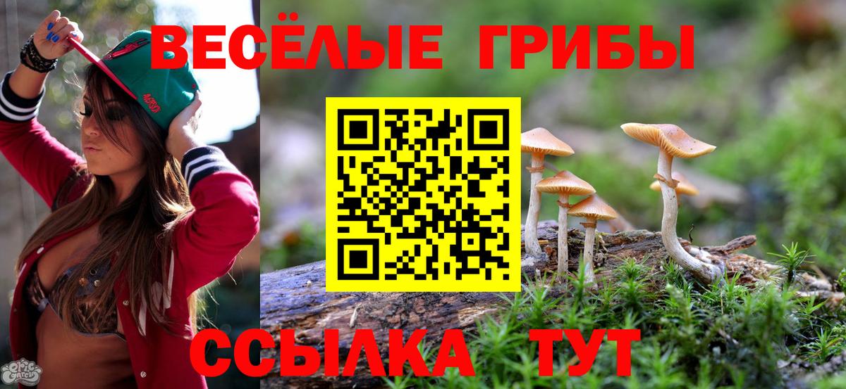 Малоярославец  Псилоцибиновые грибы Magic Shrooms  Галлюциногенные грибы мицелий  Вход с VPN 
