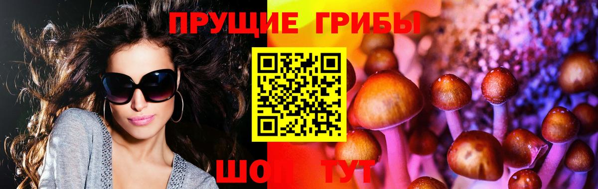 Галлюциногенные грибы прущие грибы Малоярославец